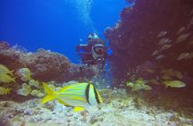 2 Tanks Scuba Diving in Punta Cancun Reefs for Certified Divers
