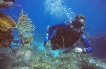 3 Days Class: SDI Open Water Diver Certification in Cancun