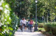 Florence E-Bikes & Sights Tour for Small Groups or Private