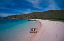 Full Day Trip to Explore 6 Destinations in Labuan Bajo and Komodo