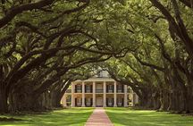 Swamp Boat Ride and Oak Alley Plantation Tour from New Orleans