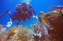 2 Tanks Scuba Diving in Punta Cancun Reefs for Certified Divers