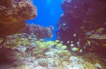 2 Tanks Scuba Diving Wreck and Reef in Cancun for Certified Divers