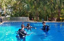 3 Days Class: SDI Open Water Diver Certification in Cancun