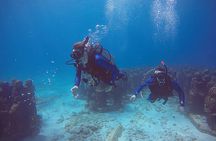 3 Days Class: SDI Open Water Diver Certification in Cancun