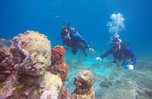 3 Days Class: SDI Open Water Diver Certification in Cancun