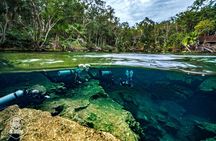 Scuba Diving in Cenotes