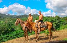 Full Safari Zipline, Buggies & Horse Riding Experience