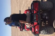 7x1Mega Safari Sharm El Sheikh