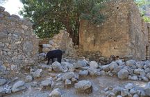 Samaria Gorge Hiking Tour from Chania with Professional Guide