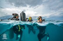 Open Water Course Cozumel