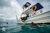 Open Water Course Cozumel