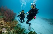 Basic Diver - Bautismo