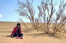 Sundowner Dune Safari With Dinner