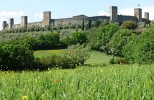 Siena, San Gimignano, Tuscany, Lunch & Wine Tasting - max 8