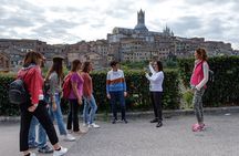 Siena Sightseeing Walking Tour with Food Tastings for Small Groups or Private