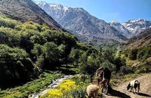 Imlil Village and Mount Toubkal Tour from Marrakech 