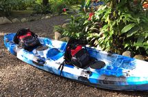 Mangrove Kayak 