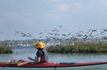 2 Hour Night Kayak Tour in Venice, premium experience with sunset