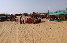 Pushkar Private Day Trip from Jaipur 