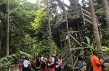  Dunns River & BlueHole Tour Includes Entry Fees
