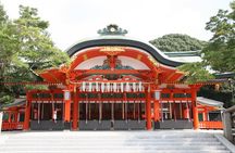 Kyoto Afternoon Tour (Round Trip from Kyoto)