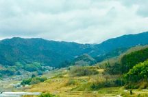 Asuka Private Full-Day Guided Tour from Kashihara