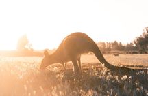 Private Mornington Peninsula Hike and Hot Springs Tour