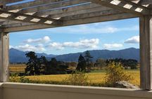 Full-Day Omaka Aviation Heritage Center and Wine Tasting Tour