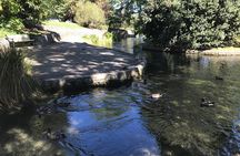 Wine and Gourmet Picnic Experience of Marlborough