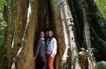 Natural History Walk
