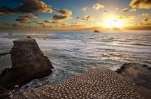 Private Tour - Muriwai Beach & Wine Tasting