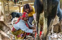 Microfinance family farm tour - all proceeds to charity