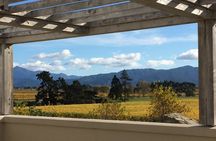 Wine and Gourmet Picnic Experience of Marlborough