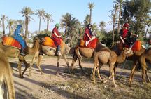 1-Hour Camel Ride in La Palmeraie Marrakech with Hotel Pick up