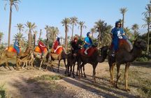 1-Hour Camel Ride in La Palmeraie Marrakech with Hotel Pick up