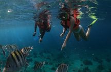 Clear Boat & Snorkel Cozumel Tour with Drinks