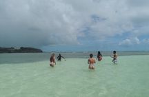 Discovery day at La Baignoire de Joséphine on the windward side