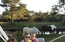 Chincoteague's Up The Bay Pony and Wildlife Tour by Boat