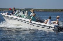 Private Sightseeing Boat Tour in Savannah