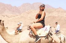 Extreme day trip 7×1 in Sharm el SHEIKH 