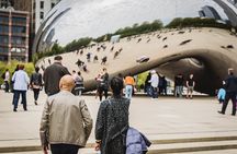 Best of Chicago Tour with Skydeck + Shoreline Cruise