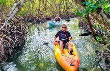 Mangroves, Manatees, and a Hidden Beach: Kayak Tour