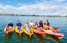 Mangroves, Manatees, and a Hidden Beach: Kayak Tour