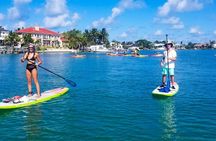 Mangroves, Manatees, and a Hidden Beach: Kayak Tour