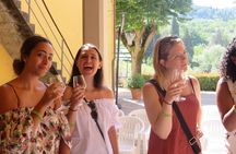 Half-day Chianti Classico Wine tour from Florence - Small Group