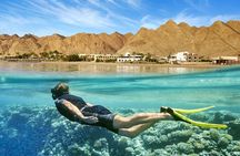 Relaxing Day Tour To Red Sea At Ain El Sokhna From Cairo