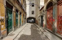8-Hour Private Guided Tour in Rio de Janeiro