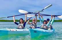 Small Group Kayak Tour of the Shell Key Preserve