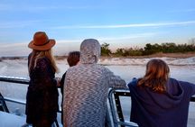 Nature Boat Tour with Certified Naturalist in Charleston